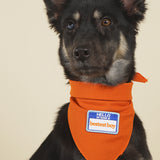 Iron-on embroidered patch accessory on pet bandana