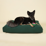 Front view of medium-sized dog on premium kapok dog bed in forest green
