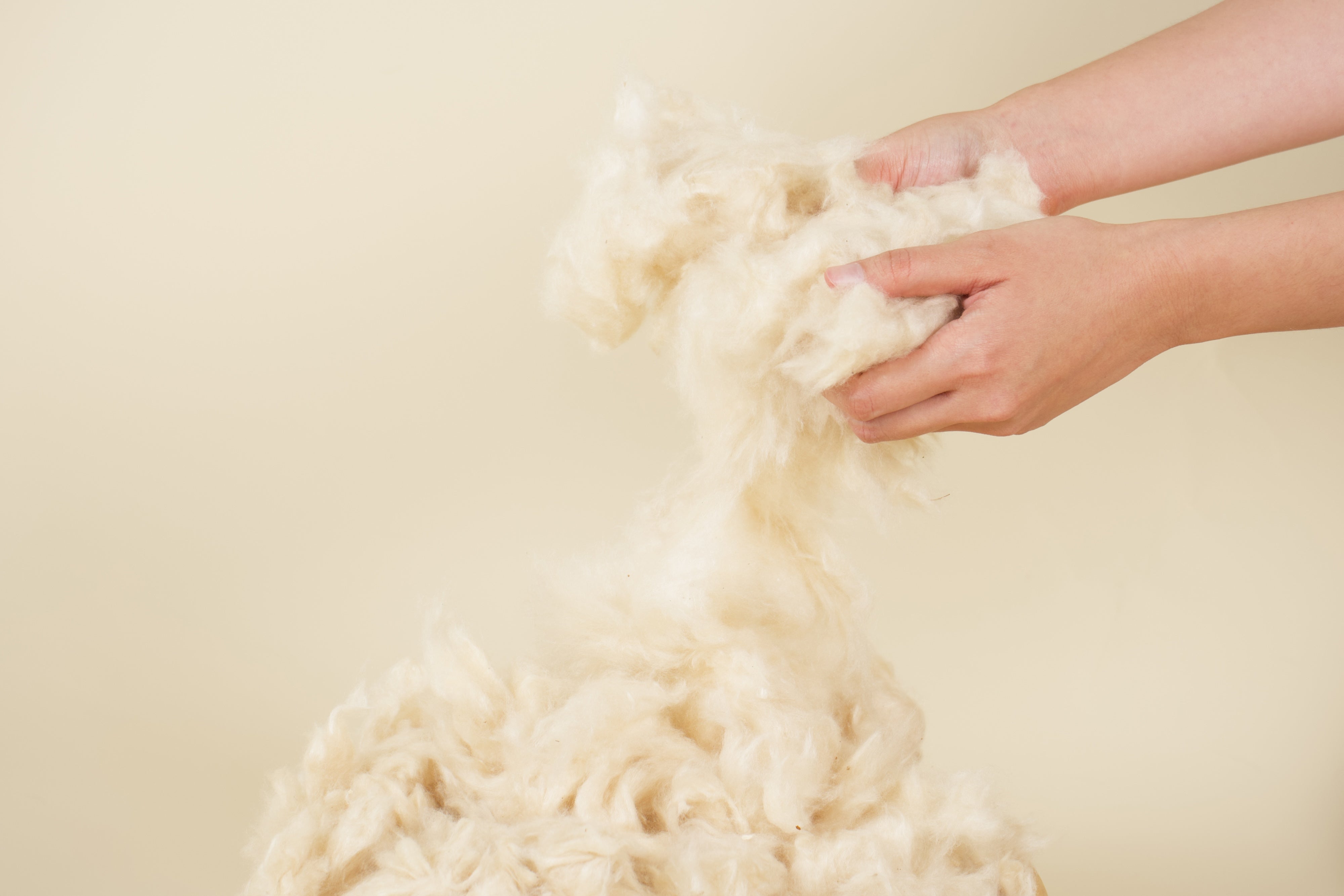 Fluffy kapok fibres