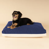 Dachshund sitting on a premium kapok dog bed in navy and white