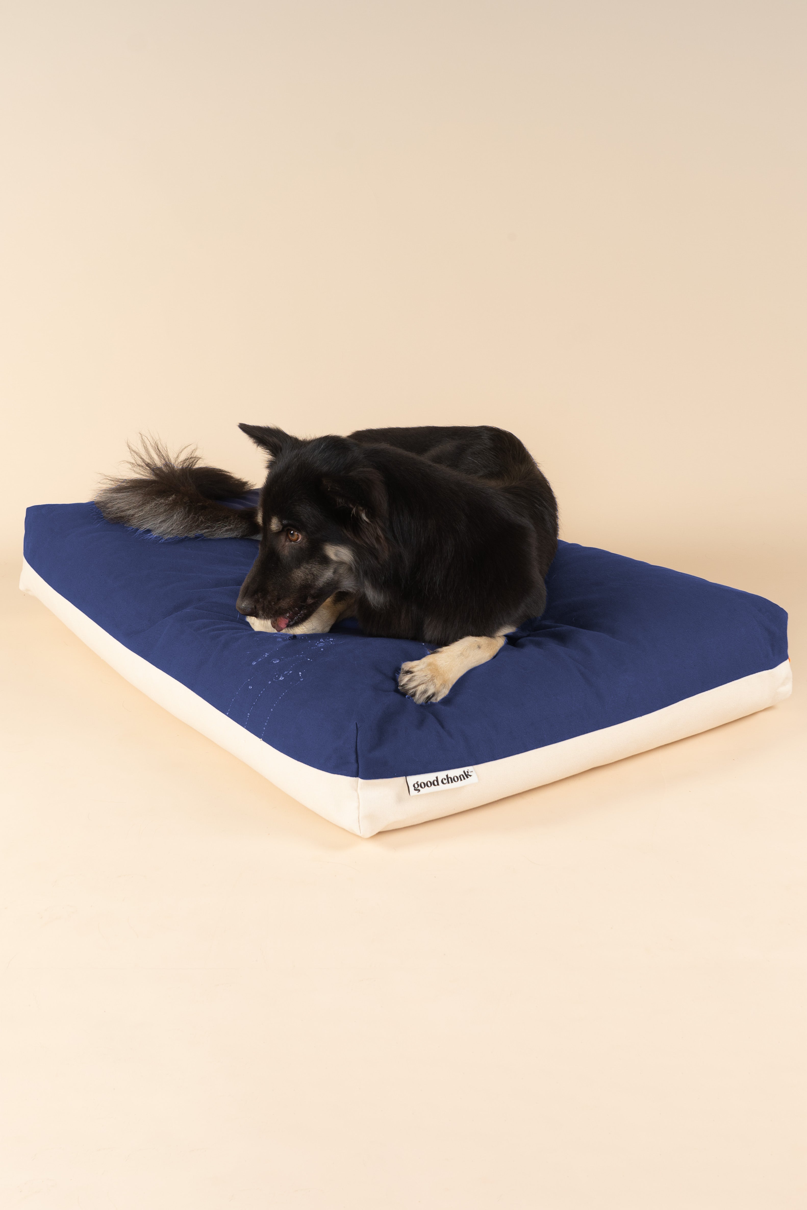 Side view of a dog bed with water repellent feature