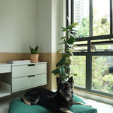 Cloud Kapok Dog Bed - Forest Green