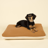 Cloud Kapok Dog Bed - Earth