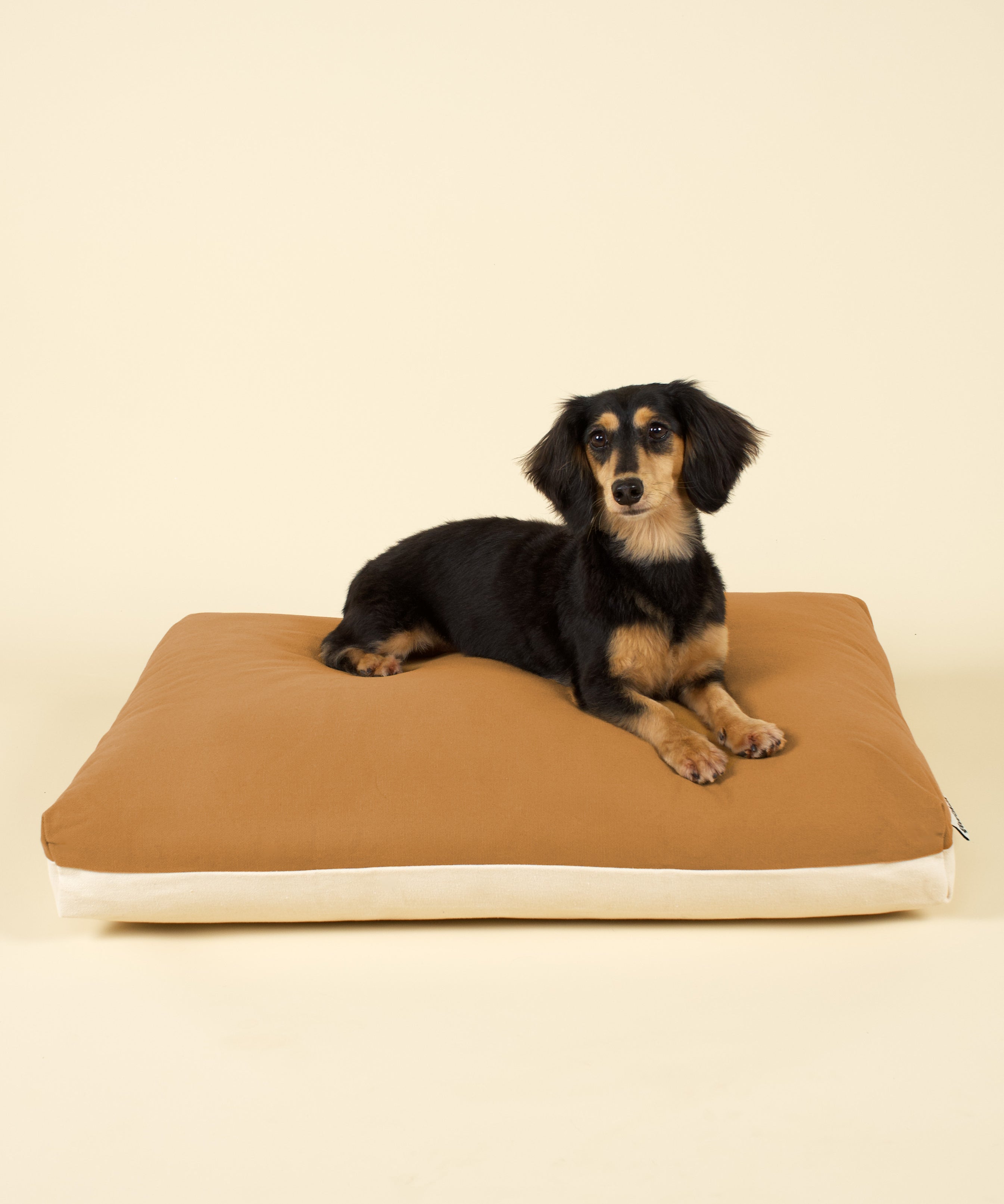 Cloud Dog Bed Cover - Earth