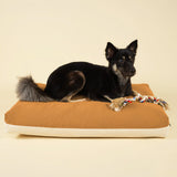 Cloud Dog Bed Cover - Earth