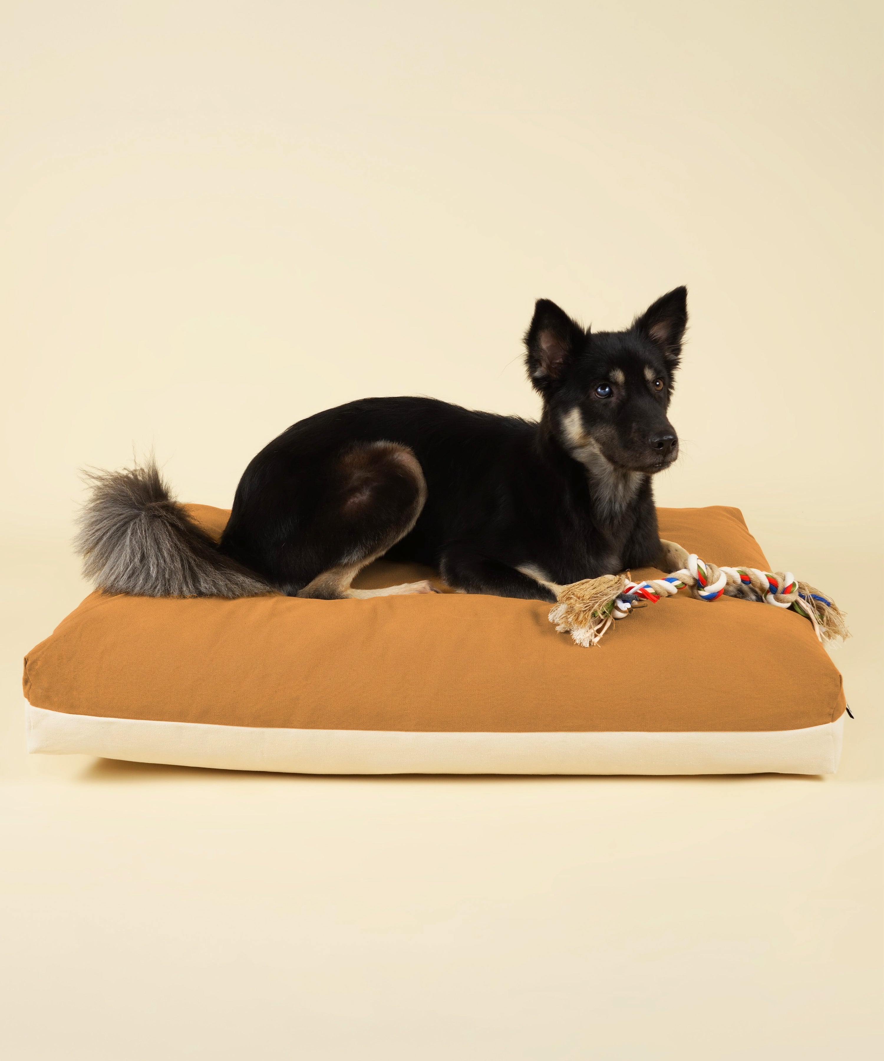 Cloud Dog Bed Cover - Earth