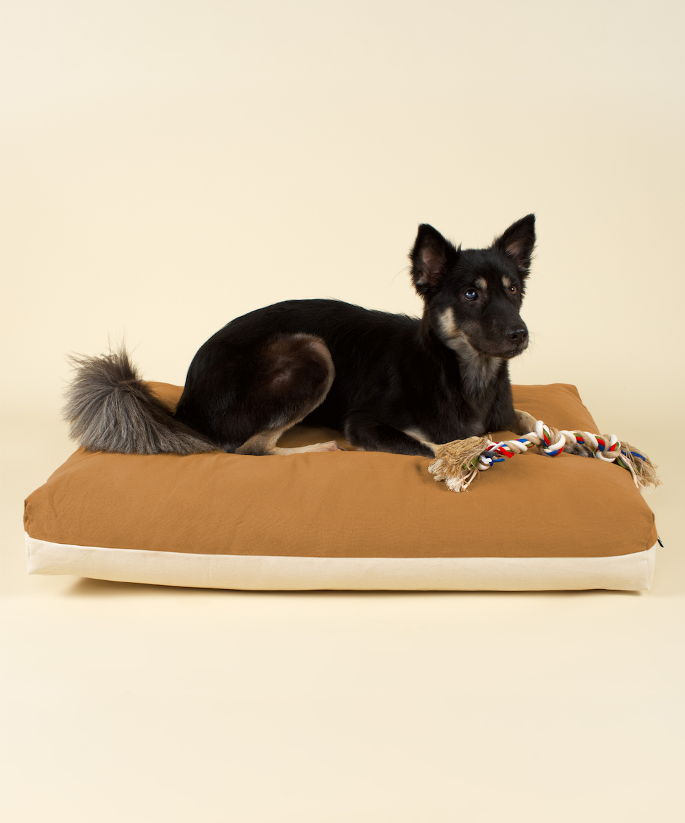 Cloud Kapok Dog Bed - Earth