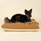 Cloud Kapok Dog Bed - Earth