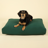 Cloud Kapok Dog Bed - Forest Green