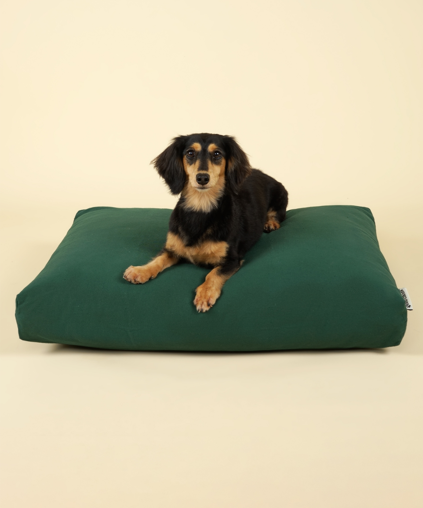 Cloud Kapok Dog Bed - Forest Green