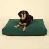 Cloud Dog Bed Cover - Forest Green