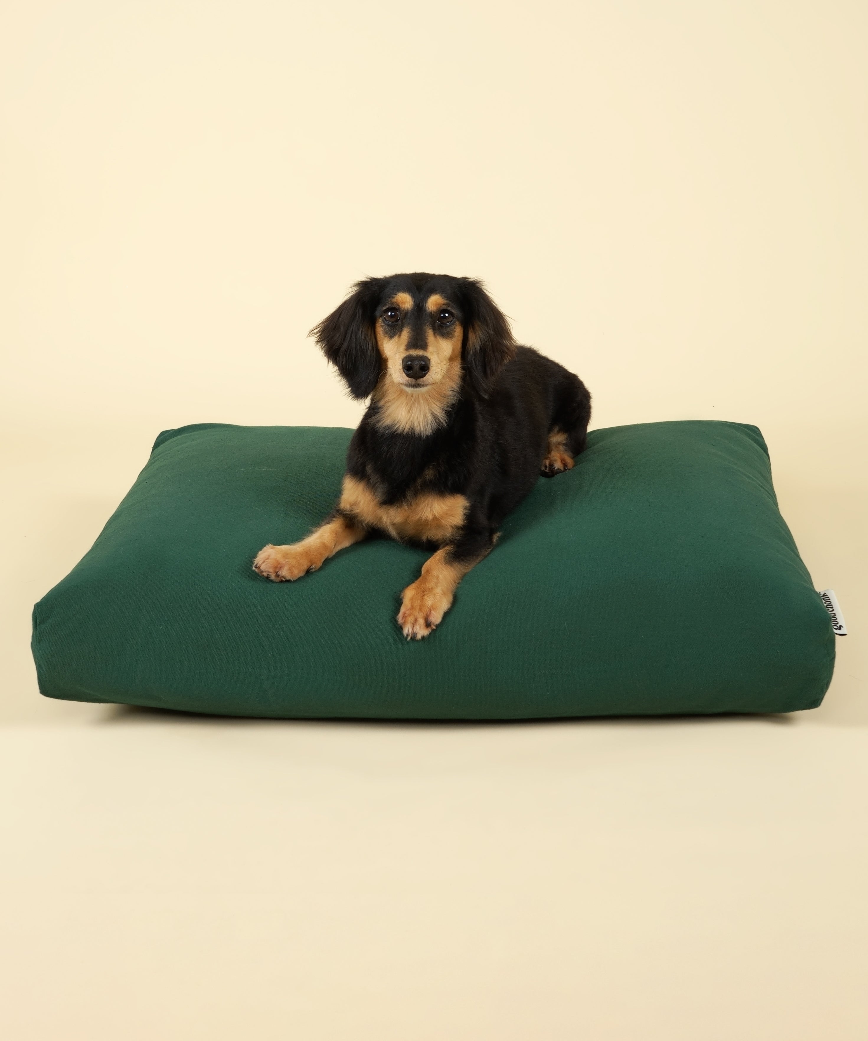 Cloud Dog Bed Cover - Forest Green