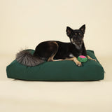 Cloud Dog Bed Cover - Forest Green