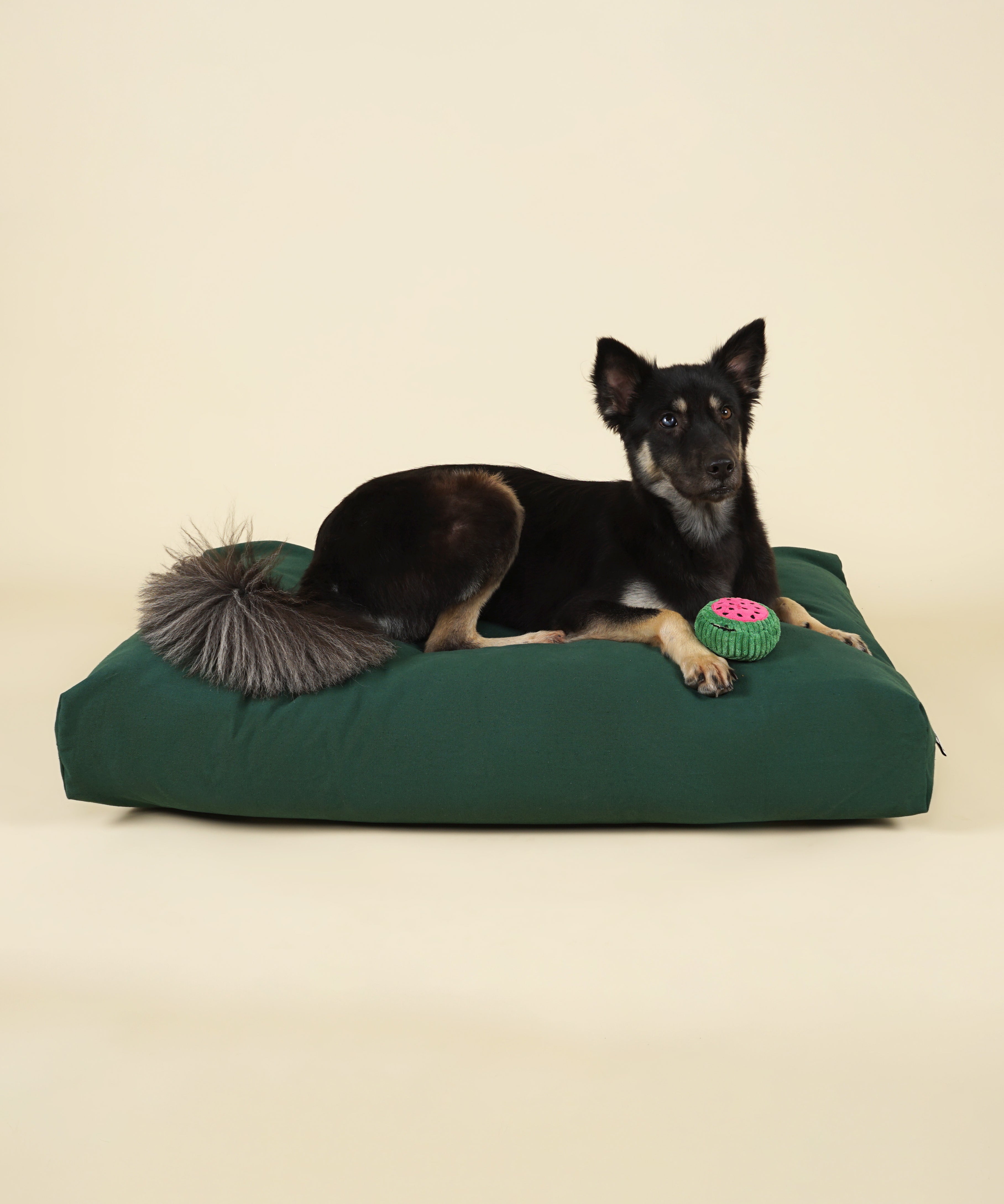 Cloud Dog Bed Cover - Forest Green