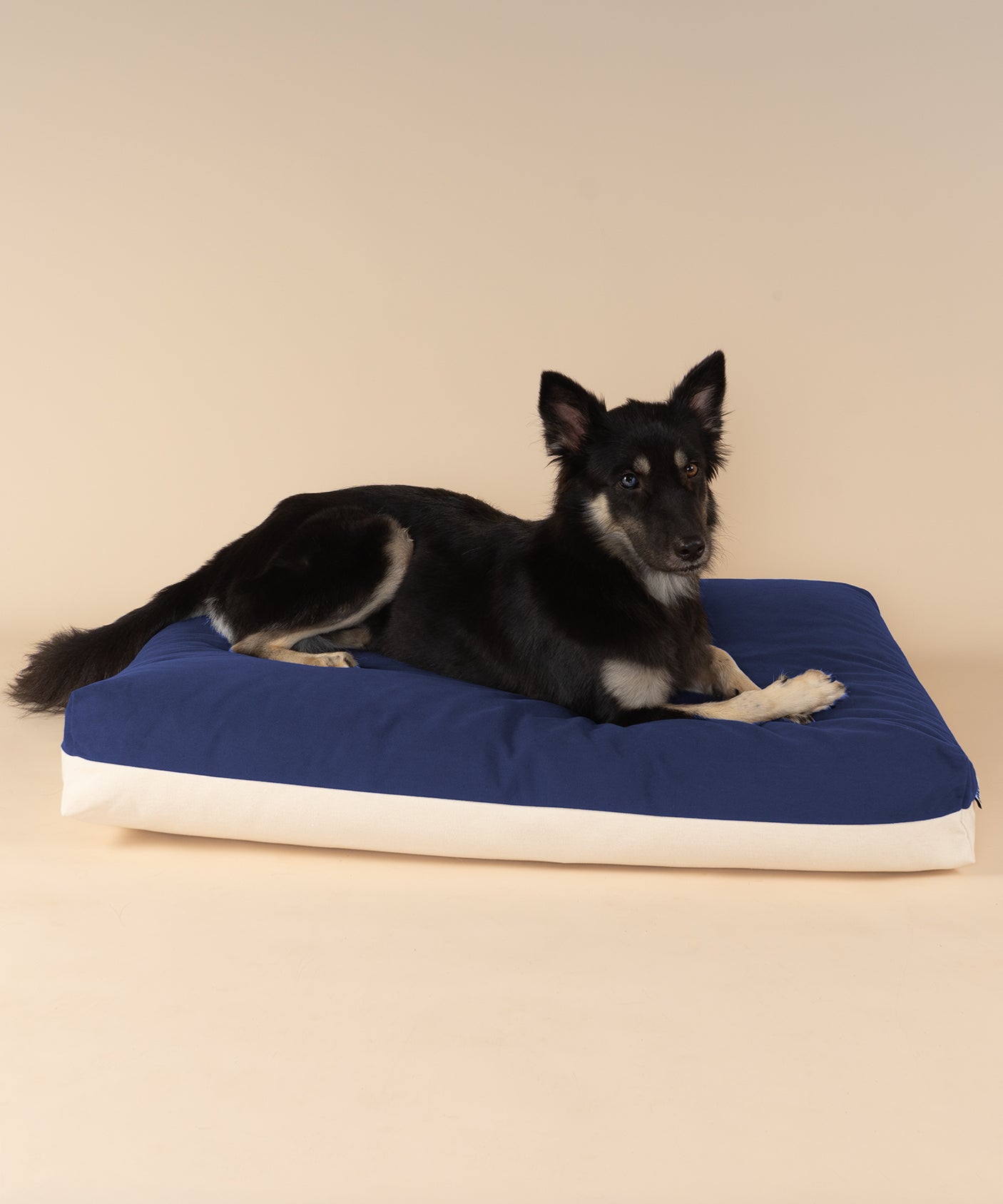 Cloud Kapok Dog Bed - Midnight