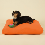 Cloud Kapok Dog Bed - Sunrise Orange