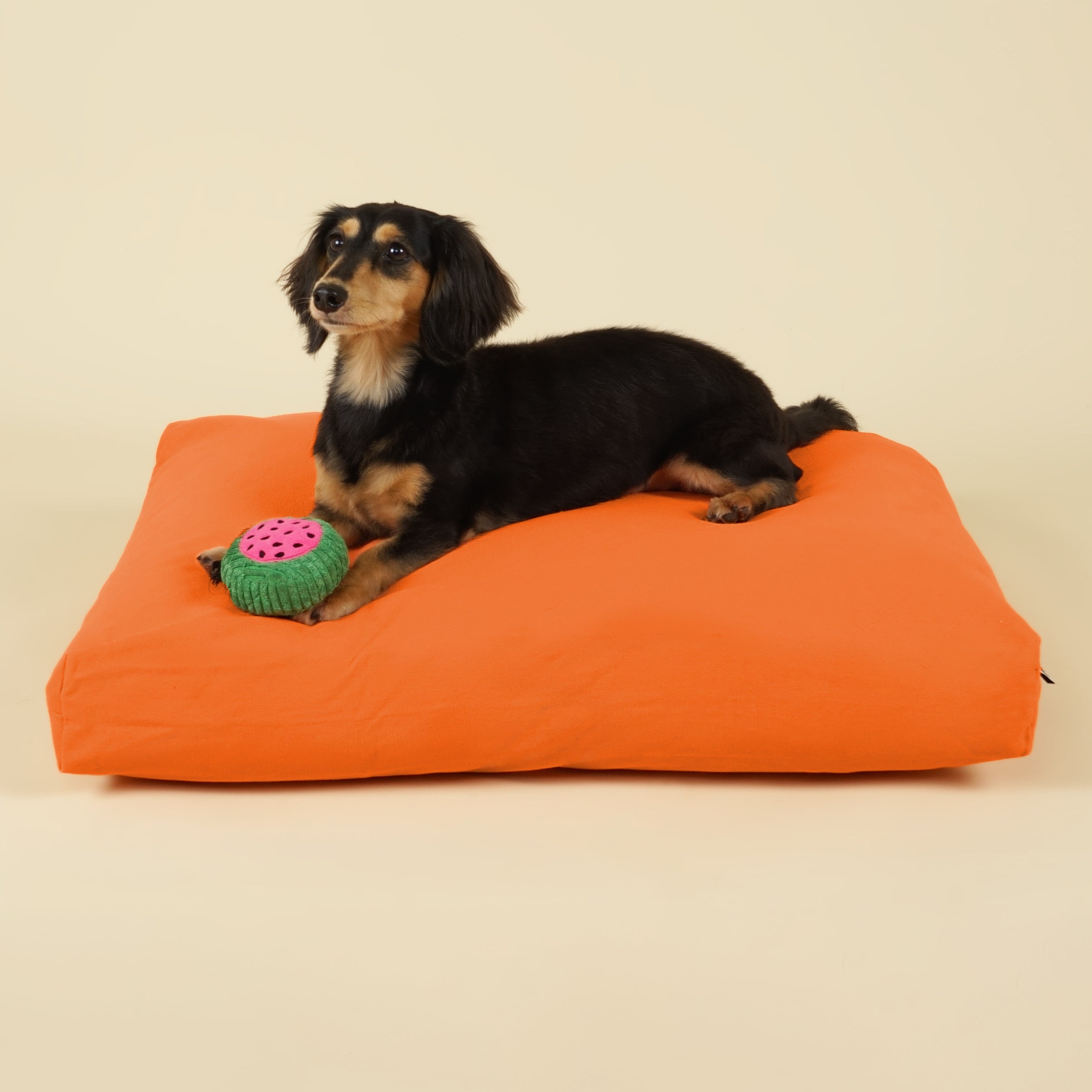 Cloud Dog Bed Cover - Sunrise Orange