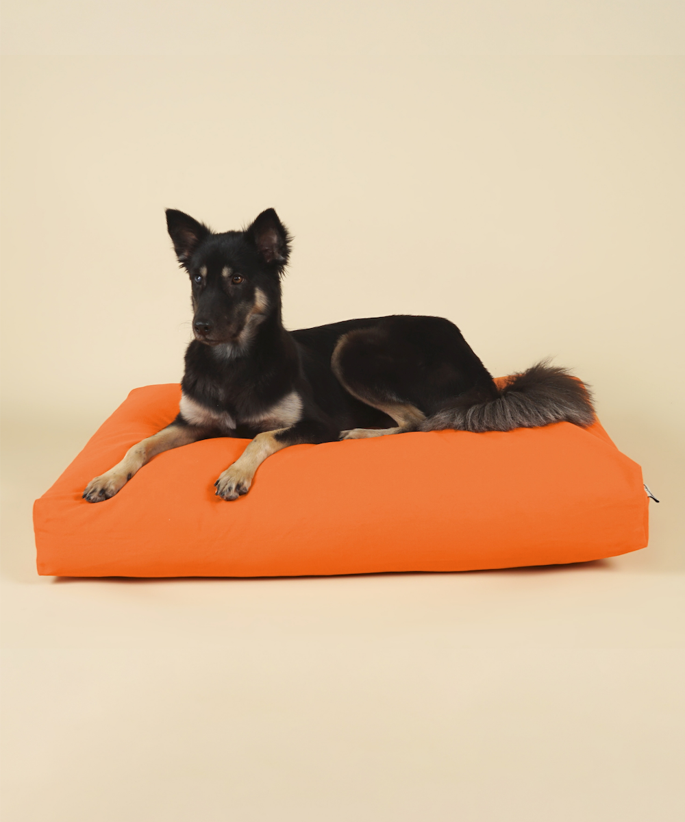 Cloud Kapok Dog Bed - Sunrise Orange