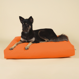 Cloud Kapok Dog Bed - Sunrise Orange