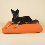 Cloud Dog Bed Cover - Sunrise Orange