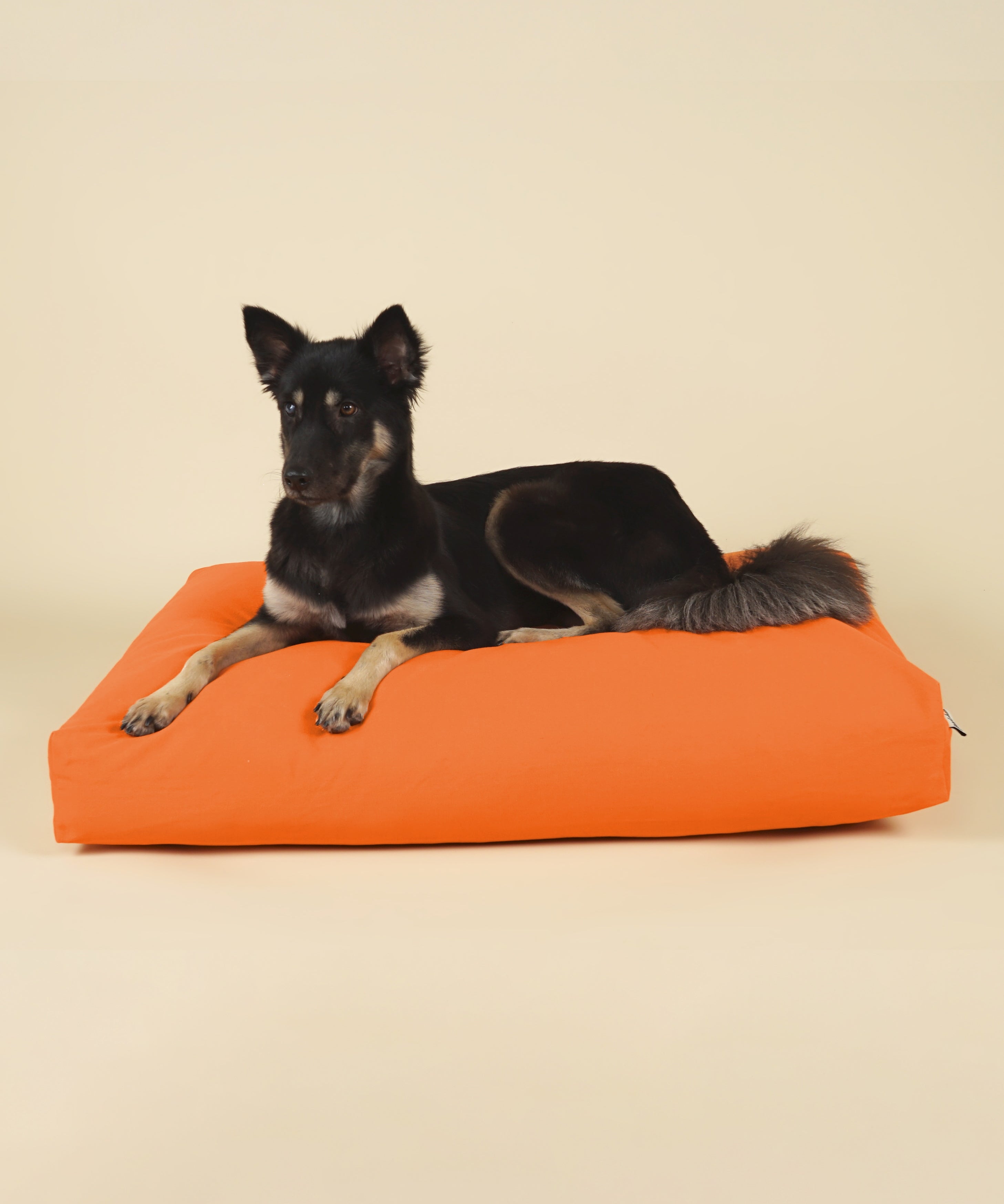 Cloud Dog Bed Cover - Sunrise Orange