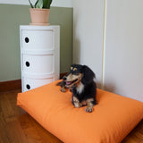 Cloud Kapok Dog Bed - Sunrise Orange